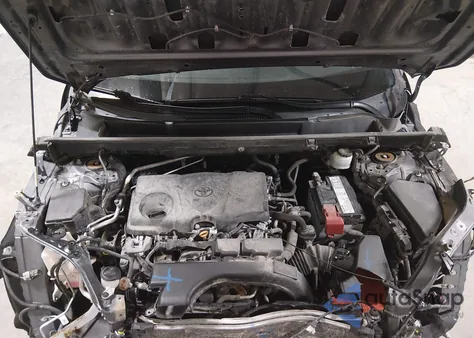 2019 Toyota Rav4 Xle из США, поврежденный, VIN 2T3P1RFV4KC003180